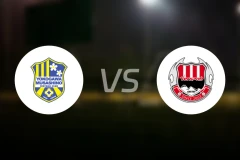 横河武藏野FCvs大分红温泉比分预测【2024/10/27】