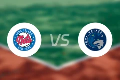 长岛篮网vs爱荷华狼队比分预测【2026/01/19】