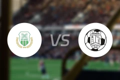 赫巴vsFC塞弗列沃比分预测【2025/11/28】