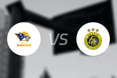 罗斯托克vs法尔科比分预测【2026/02/05】