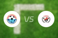 尼日尔FCvs埃努古流浪者比分预测【2026/04/12】