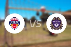 济州SK FCvs安养FC比分结果战报【2025/11/08】