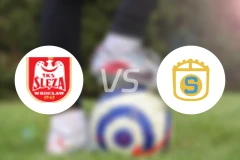 弗罗茨瓦夫vs斯蒂尔贾辛比分预测【2025/11/22】