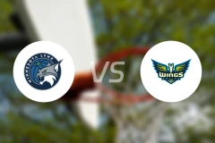 山猫vs飞翼比分预测【2025/05/17】