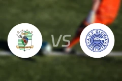 达姆布雷维塔vs哥利亚比分预测【2025/11/29】