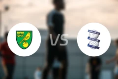 诺维奇vs伯明翰比分预测【2026/02/21】