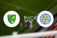 诺维奇vs莱斯特城比分结果战报【2025/11/08】