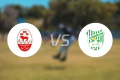 卡拉曼马士邦vs宾高尔比分预测【2025/11/29】