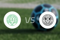 纳迪vs苏瓦FC比分预测【2026/03/01】