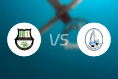 阿尔艾利多哈vs瓦卡拉比分预测【2026/02/02】