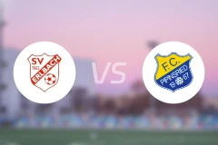 SV埃尔巴赫vs皮平斯里德比分预测【2025/11/01】