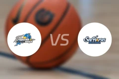 岛根魔术vs三河海马比分预测【2026/02/14】