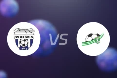 格罗迪SVvs奥伊根多夫比分预测【2026/03/14】