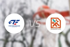 名古屋战鹰vs广岛蜻蜓比分预测【2024/12/07】