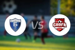 比拿斯卡vs斯洛加维尼察比分预测【2026/03/14】