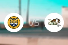 昆尼皮亚克大学vs锡耶纳学院比分预测【2026/02/14】