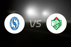 萨热耶尔vs厄德尔比分预测【2026/01/11】