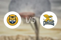 昆尼皮亚克大学vs堪尼席斯比分结果战报【2026/03/02】