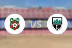 施瓦伊格vs格瑞特瑞德比分预测【2026/03/07】