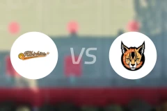 克尔迪斯维尔纽斯女篮vsCBK梅尔辛女篮比分预测【2026/01/16】