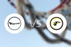 蒂罗尔突袭者vs延纳斯多夫比分预测【2025/11/30】