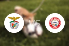 本菲卡B队vs莱里亚比分预测【2026/04/12】