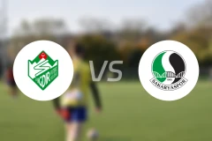 厄德尔vs萨卡里亚体育比分预测【2026/01/19】