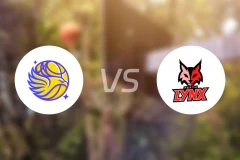 本迪高精灵女篮vs珀斯山猫女篮比分预测【2026/02/01】