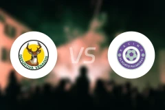 维纳多斯竞技vs帕尔梅拉斯港比分预测【2026/01/25】