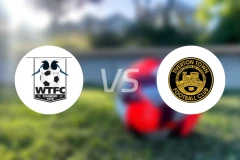 温伯尼镇vs特沃顿比分预测【2024/10/16】