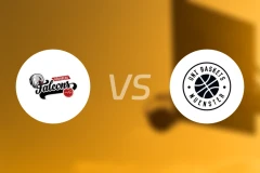 纽伦堡vsWWU芒斯特比分预测【2026/03/22】