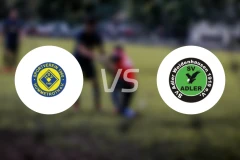 亨默特罗斯vsSV登豪斯比分预测【2026/03/07】