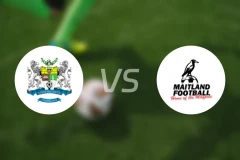 库山vs梅特兰比分预测【2026/02/22】