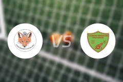 施塔德勒纳尔vs雅温得加农炮比分预测【2026/04/08】