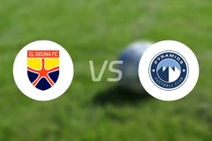 艾尔格纳vs金字塔比分预测【2026/01/20】