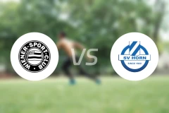 维也纳SCvsSV霍恩比分预测【2026/04/18】