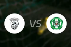 布里托vs维拉维登斯比分预测【2025/11/30】