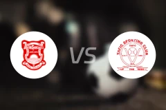 哈博罗内联vs塔菲FC比分预测【2025/11/22】