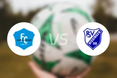 登兹林根vsFSV比辛根08比分预测【2025/11/01】