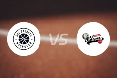 WWU芒斯特vs纽伦堡比分预测【2026/01/11】