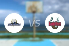 信州勇士vs奈良雄心比分结果战报【2024/11/25】