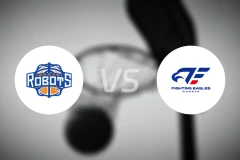 茨城机器人vs名古屋战鹰比分预测【2026/02/07】