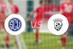 凡恩尼斯vs布里托比分预测【2026/02/15】