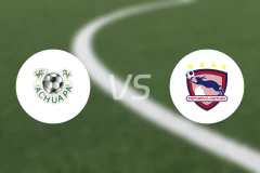 阿库阿帕vs米特兰比分预测【2025/11/17】