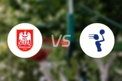 弗罗茨瓦夫女篮vs弗里堡女篮比分预测【2025/11/28】