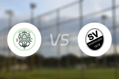 洪堡vs桑德豪森比分预测【2025/11/15】