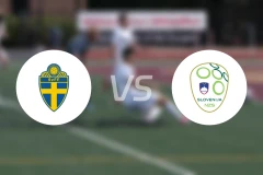 瑞典vs斯洛文尼亚比分预测【2025/11/19】