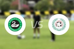 纽因顿vs邓迪拉比分预测【2024/09/28】