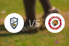 拿戈纳克vs圣伊格纳西奥比分预测【2026/02/15】