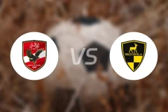 开罗国民vs瓦迪格拉比分预测【2026/01/27】